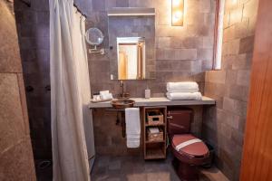a bathroom with a toilet and a sink and a shower at Hotel Casa de las Abuelas in Guanajuato