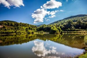 a view of a lake with clouds in the sky at domaine des planesses in Ferdrupt