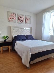 a bedroom with a large bed and a window at Hermoso departamento cómodo in San Lorenzo Tetlixtac