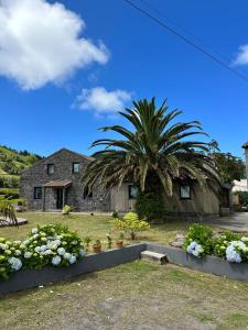 a house with a palm tree and some flowers at Sete Cidades Nature Villa in Sete Cidades