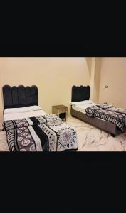 two beds sitting next to each other in a room at Nile palace apartment in Luxor