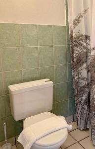 a bathroom with a white toilet and a shower at Nygaard Livsnyderi in Læsø +13 photos
