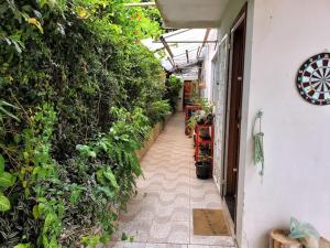an indoor greenhouse with plants and a walkway at Casa 2000 Positivo UTFPR INC Volvo in Curitiba