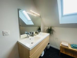 a bathroom with a sink and a mirror at Le Grand Francillon in Villebarou +25 photos