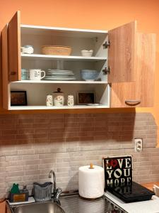 a kitchen with a sink and a counter top at Cozy Studio Apartment Pale in Pale