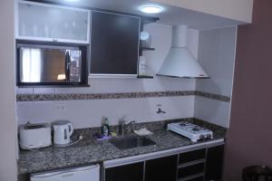 a kitchen with a sink and a microwave at Antares Apartments in Campana +45 photos