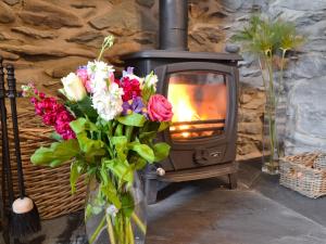 a vase of flowers in front of a stove at Llifon in Llanwnda