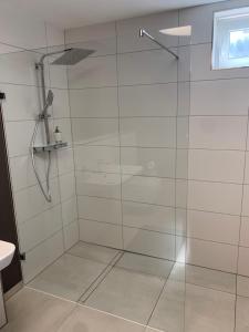 a shower with a glass door in a bathroom at Wohnung zur Langzeitmiete geeignet in Bad Kreuznach