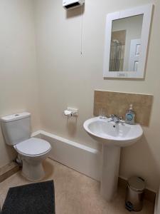 a bathroom with a toilet and a sink and a tub at Apartment 2 at 2 Bell Street in Talgarth +10 photos
