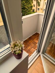 a potted plant sitting on a window sill next to a balcony at Serenity and cosy Lodge, next to NDK! in Sofia
