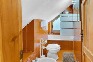 a small bathroom with a toilet and a sink at La Grangia - mountain loft in Rollieres +15 photos