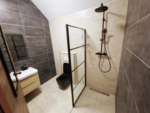 a bathroom with a shower with a toilet and a sink at Reverie in Willemstad