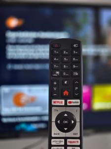 TV a/nebo společenská místnost v ubytování Gästehaus Bergedorf 2