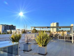a rooftop with two potted plants on a roof at Modern apartment Altravia 6 tower in Cholula