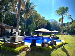 ein Swimmingpool in einem Garten mit Palmen in der Unterkunft Casa Vintage & Eventos in Yautepec de Zaragoza