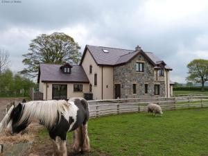 a horse standing in a field in front of a house at 7 Bed in Caerwys oc-58357 in Caerwys