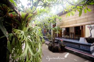 Zahrada ubytování Dijumahrai Homestay