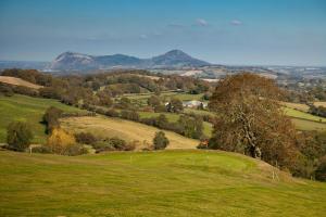 a green field with trees and mountains in the background at 2 Bed in Welshpool oc-wab256 in Berriew