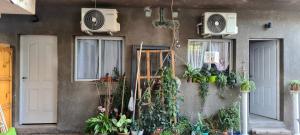a house with plants on the side of it at Tres Hermanos in Trinidad