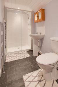 a bathroom with a toilet and a sink and a shower at 2 Bed in Tregaron oc-bow289 in Tregaron +10 photos