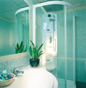 a bathroom with a shower and a sink with a plant at Hotel Philia in Rome