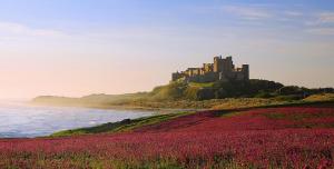a castle on top of a hill with pink flowers at 2 Bed in Bamburgh oc-gd0462 in Bamburgh