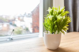 a plant in a white vase sitting on a table at Two Bed Apartment RYTON With Free Parking in Ryton