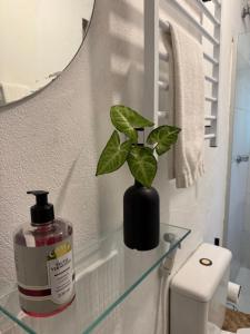 a plant in a vase on a glass table in a bathroom at Pouso Sabiá Suítes in Paraty