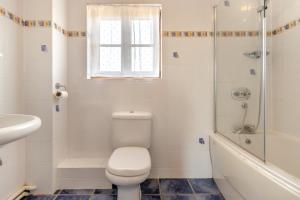 a bathroom with a toilet and a shower and a sink at 5 Bed in Ystrad Meurig oc-r31133 in Ystrad Meurig +35 photos