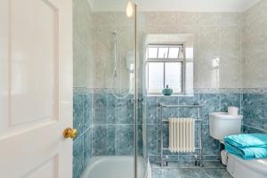 a bathroom with a shower and a toilet and a sink at 1 Bed in Brynteg oc-g32079 in Llanwenog +14 photos