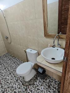 a bathroom with a toilet and a sink at Dharma Yoga Homestay dan hostel in Amed