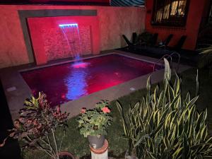 a small pool with a fountain in a room with plants at Flor de Cera in Tepoztlán