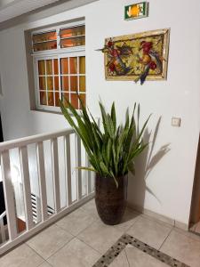 a potted plant sitting on the corner of a room at Logement « Indigo » in Capesterre
