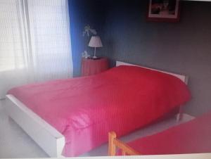 a bedroom with a pink bed with a red blanket at Complejo Tres Arroyos in Tres Arroyos