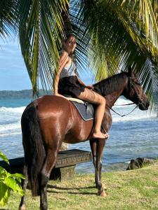 a woman riding a horse on the beach at Boho Pelicano in Bocas Town