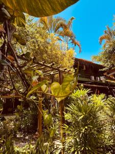 a garden with trees and plants in front of a building at Pousada Sossego Boipeba in Ilha de Boipeba