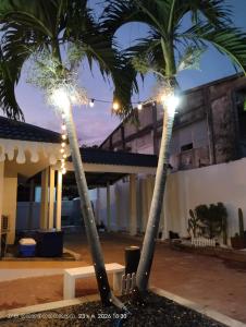 two palm trees with lights in front of a building at แสงจันทร์พลูวิลล่าระยอง in Ban Thung Haeo