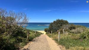 a dirt road leading to a beach with the ocean at Forries Beach Cottage in Wamberal