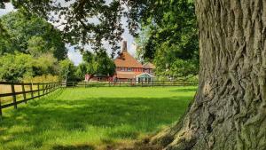 a large tree in front of a house with a fence at 6 Bed in Wymondham oc-t30598 in Wymondham