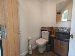 a bathroom with a toilet and a sink and a mirror at 1 Bed in Creech oc-g29728 in Kimmeridge +4 photos