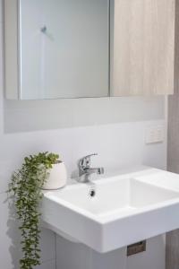 a bathroom sink with a mirror and a plant on it at 1010 - Elite Escape - Absolute Beachfront Luxury in Newcastle +19 photos