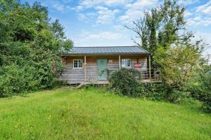 a small wooden house with a green door in a field at 1 Bed in Dre-Fach Felindre oc-a29876 in Felindre