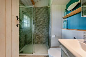 a bathroom with a shower and a toilet and a sink at 1 Bed in Dre-Fach Felindre oc-a29876 in Felindre +15 photos