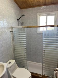 a bathroom with a toilet and a shower and a sink at cabaña alerce lago panguipulli in Panguipulli +26 photos