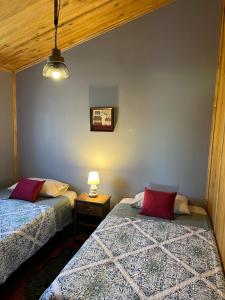 a bedroom with two beds and a lamp on a table at cabaña alerce lago panguipulli in Panguipulli