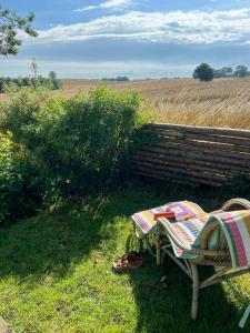 a picnic bench sitting in the grass next to a field at Charming Farmhouse With Views On Møn in Borre