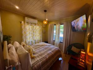 a bedroom with a bed and a window and a tv at Casa Palma in Soná