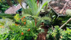 an overhead view of a garden of flowers and plants at Bouganvilla House in Unawatuna