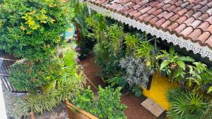 an overhead view of a garden with plants and flowers at Bouganvilla House in Unawatuna