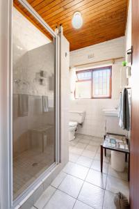 a bathroom with a shower and a toilet at Villa Kappri in Natureʼs Valley